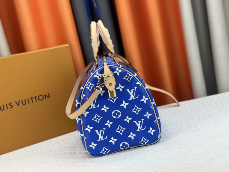 LV Travel Bags